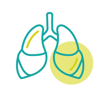 OptimaMed Icons 13