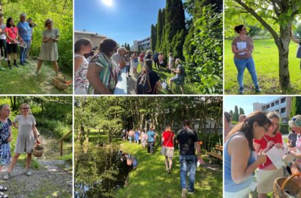 Kräuterwanderung von Mitarbeiter:innen im OptimaMed Rehabilitationszentrum Aspach
