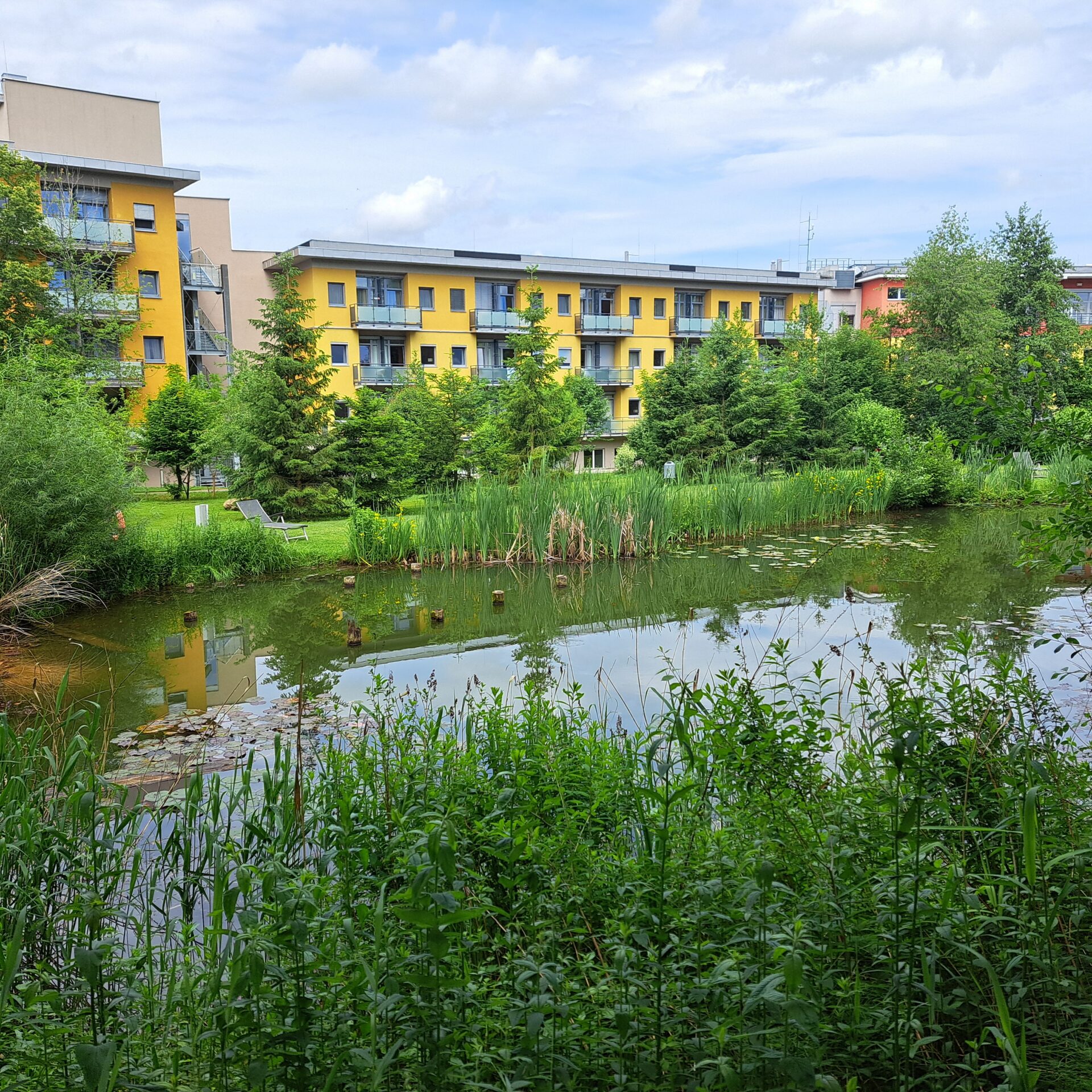 Biotop beim Rehabilitationszentrum Aspach Biotop beim Rehabilitationszentrum Aspach