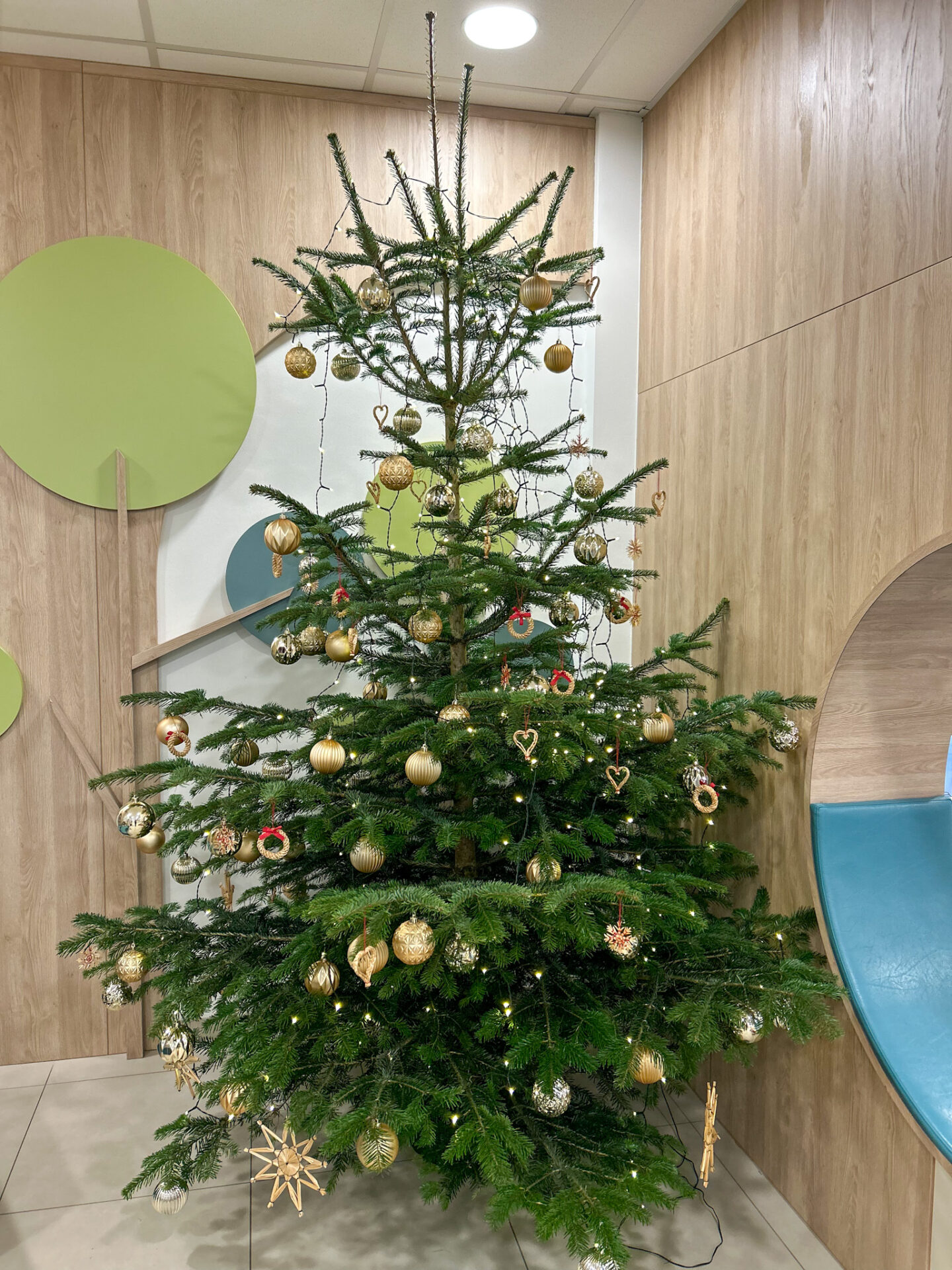 Christbaum im Rehazentrum für Kinder und Jugendliche Christbaum im Rehazentrum für Kinder und Jugendliche