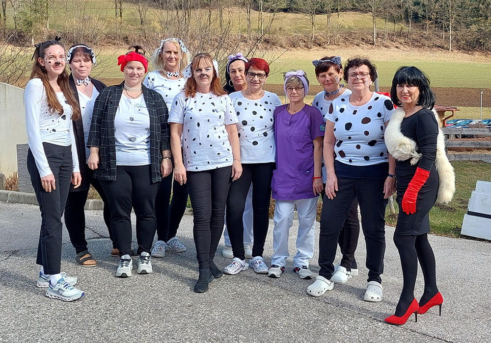 dalmatiner fasching weissenbach dalmatiner fasching weissenbach