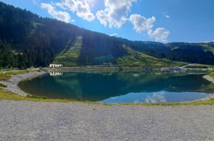 OptimaMed Wiesing: Ausflug zum Fichtensee