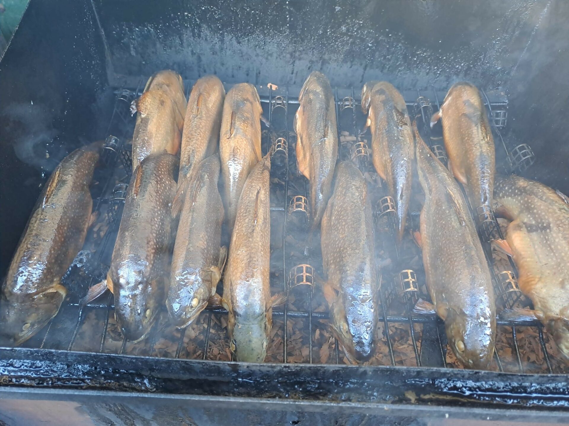 Fischgenuss auf Gut Schloss Lichtengraben Fischgenuss auf Gut Schloss Lichtengraben