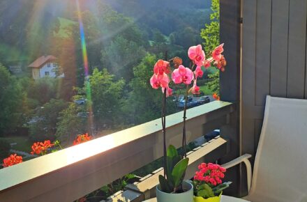 Blumengrüße im OptimaMed Gesundheitsresort Salzerbad