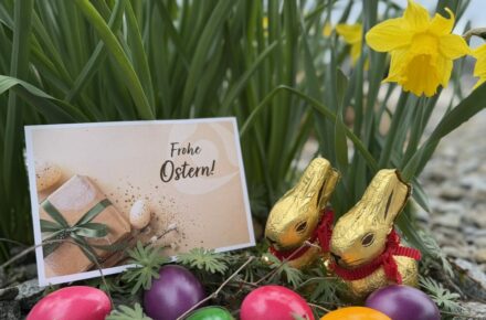 OptimaMed Aspach wünscht Patient:innen und Team frohe Ostern