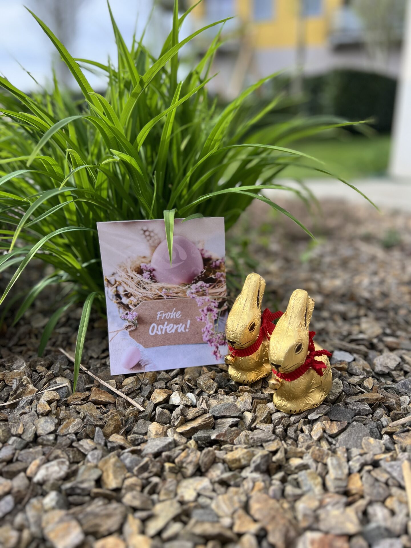 Grüße vom Osterhasen Grüße vom Osterhasen