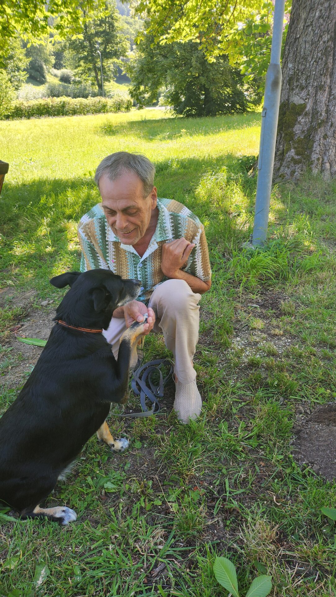 Hunde willkommen im neuen Pfoten-Park Salzerbad Hunde willkommen im neuen Pfoten-Park Salzerbad