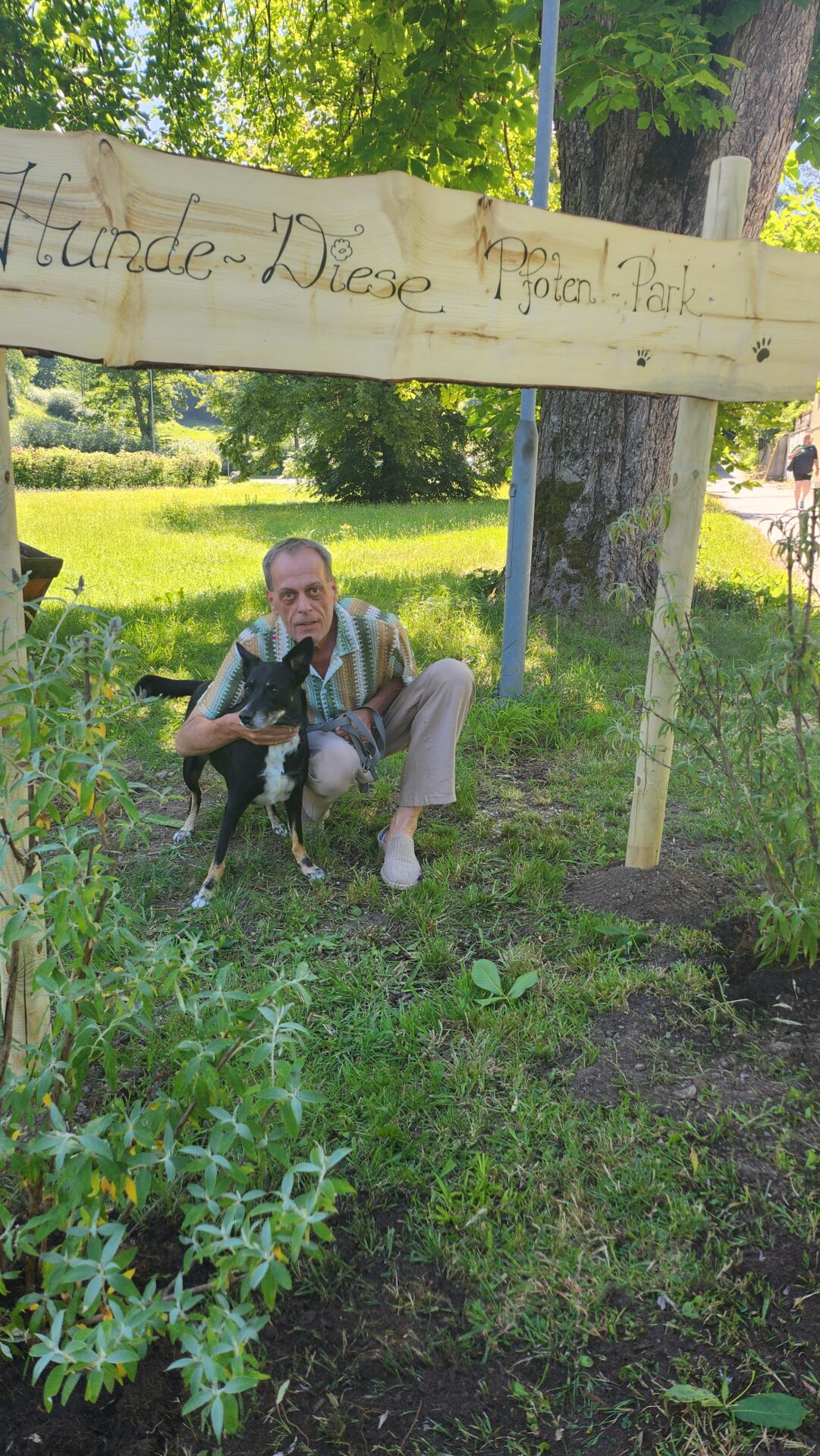 Hundehotel und Kurzentrum in Niederösterreich Hundehotel und Kurzentrum in Niederösterreich