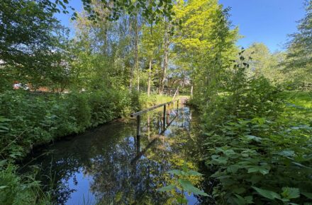 Tipp für heiße Sommertage: Kneippen im Kurpark Aspach