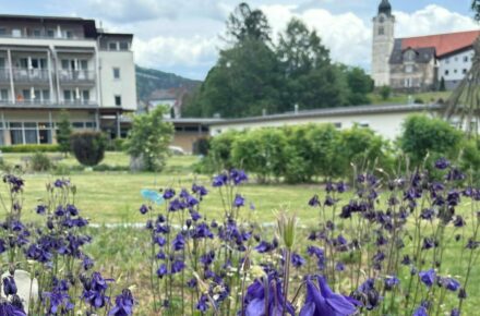 Führung durch hauseigenen Kräutergartenführung in Bad St. Leonhard