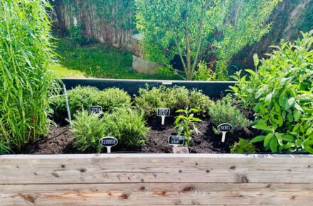Neuer Kräutergarten im OptimaMed Gesundheitsresort St. Josef