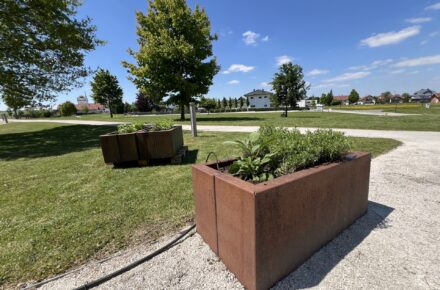 Kräuterliebe im Garten des OptimaMed Rehazentrums Aspach