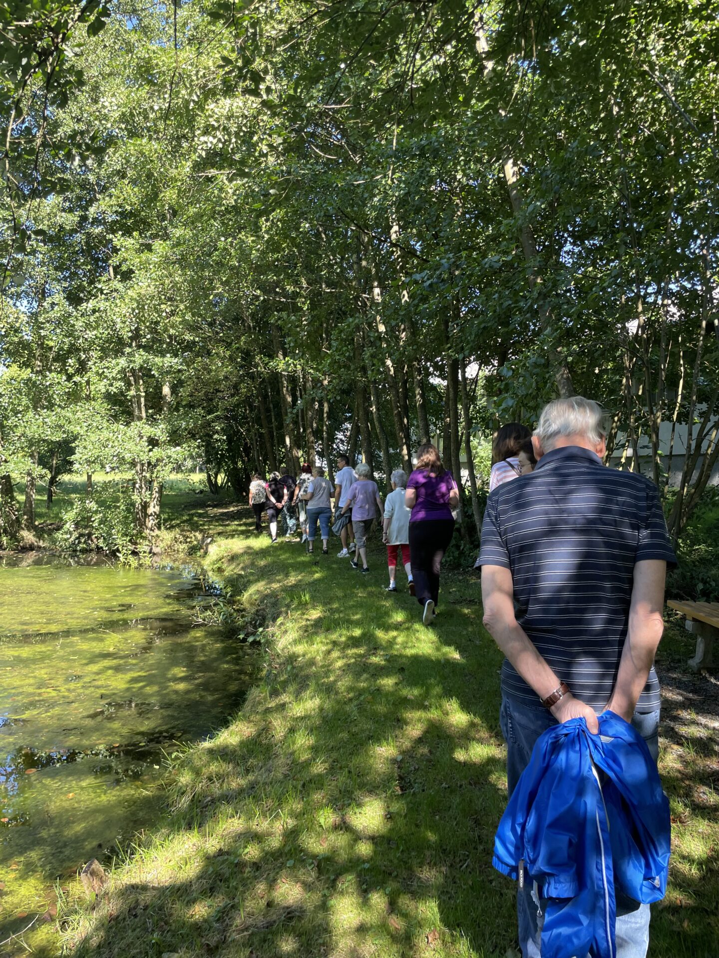 Kräuterwanderung in Aspach Oberösterreich Kräuterwanderung in Aspach Oberösterreich
