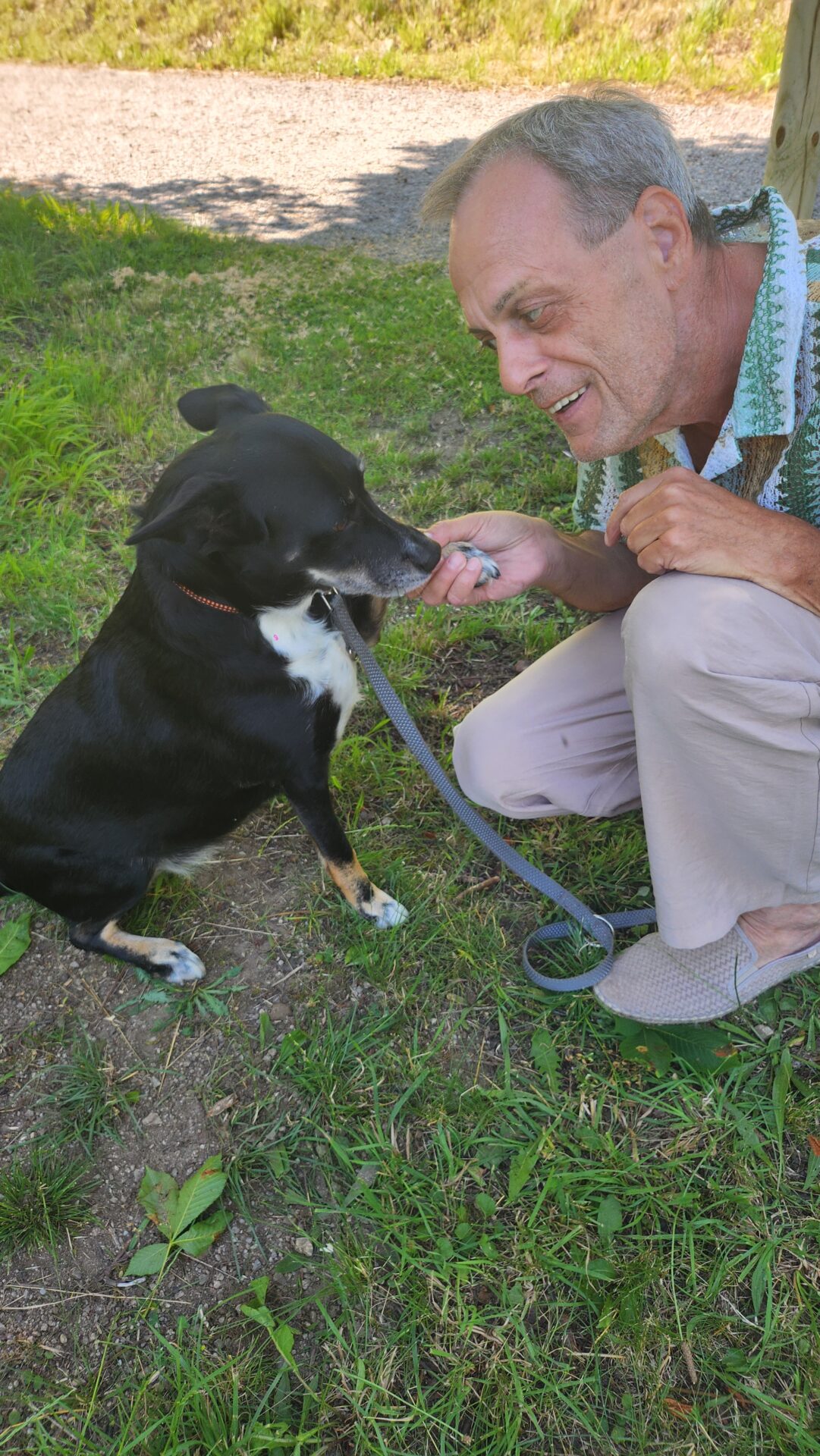 Kur und Gesundheitsurlaub mit Hund Kur und Gesundheitsurlaub mit Hund