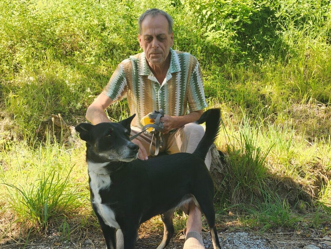 Kur mit Hund in Niederösterreich Kur mit Hund in Niederösterreich