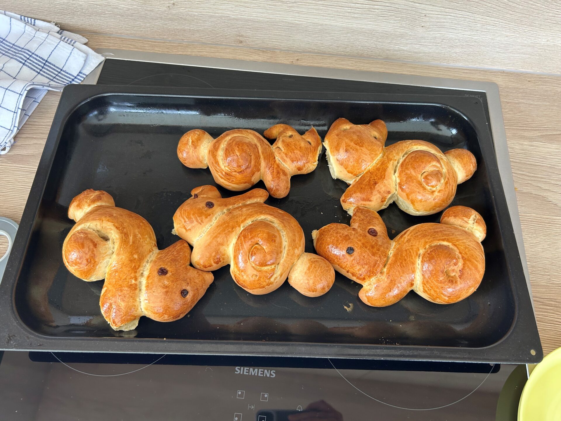 Fertiges Ostergebäck auf Backblech Fertiges Ostergebäck auf Backblech